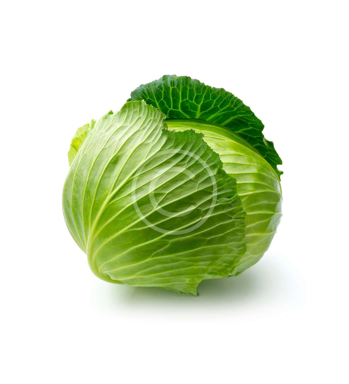 Onion - immagine 2